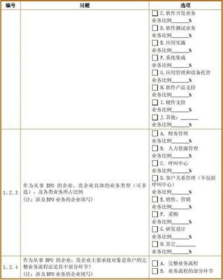 軟件與信息服務外包 推動企業(yè)數(shù)字化轉型的關鍵力量